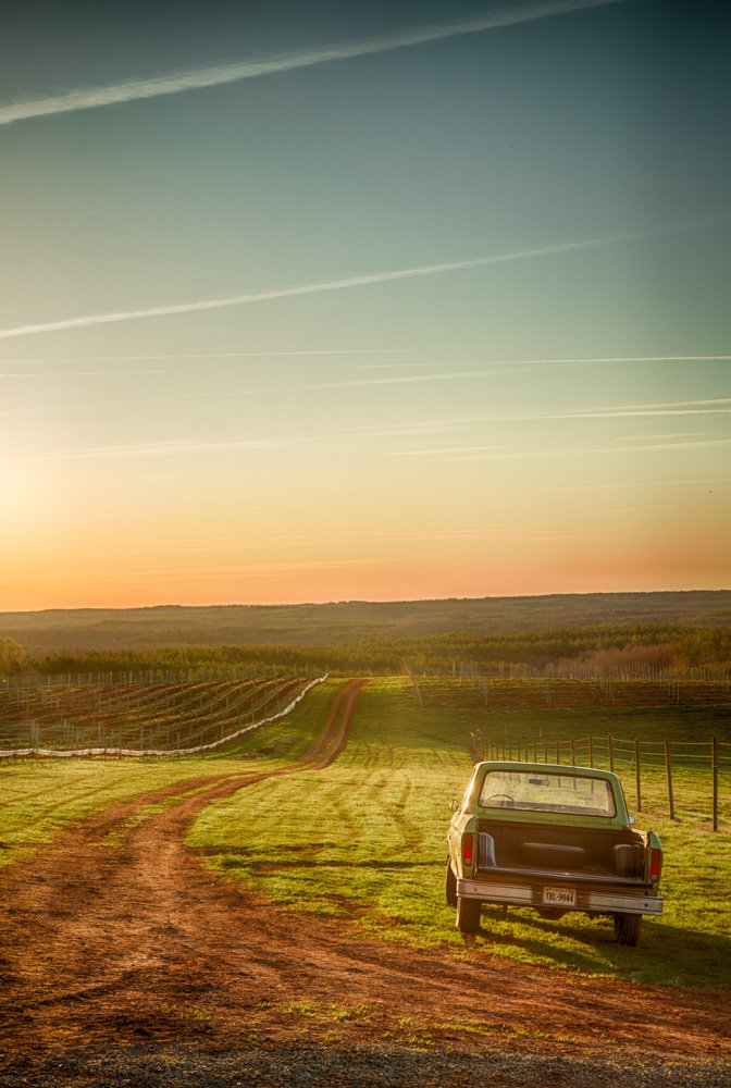 A vintage green pickup truck is parked beside a dirt road that winds through rows of vineyard at sunset. The sky is streaked with contrails and bathed in golden light, casting a warm glow over the rolling landscape.