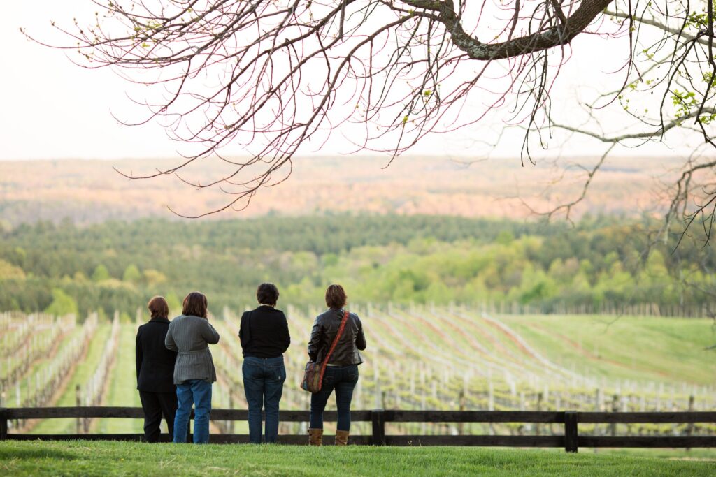Four people stand by a wooden fence, overlooking a vineyard filled with rows of grapevines. Leafless tree branches frame the top of the image, and a forested landscape stretches into the distance.