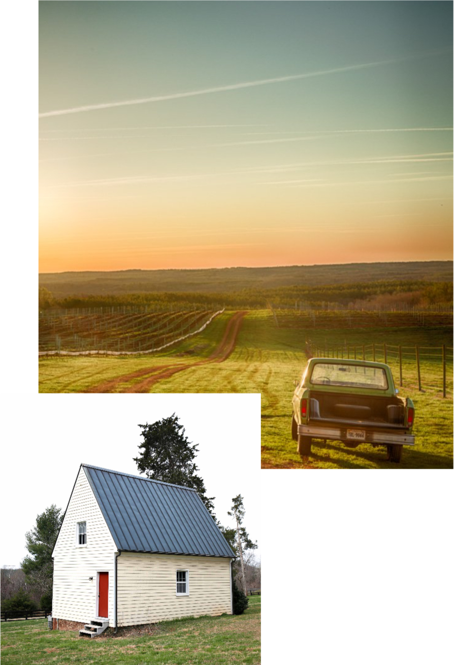 A vintage car is parked beside a vineyard at sunset, with a dirt road leading into the distance. Below, a small cream-colored house with a dark roof sits on a grassy lawn surrounded by trees.